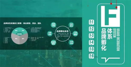 光合項(xiàng)目 從洋河創(chuàng)意設(shè)計(jì)中心看文化創(chuàng)意產(chǎn)業(yè)園的品牌化之路